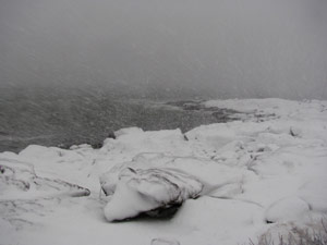 Coast of Maine