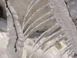 Winter's icy fingers