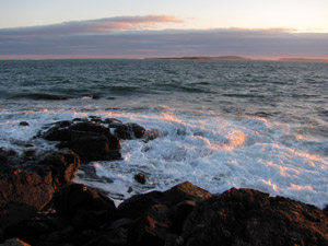 Winter has been washed away