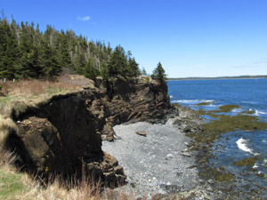 West Quoddy Head