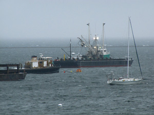 Moored behind breakwater