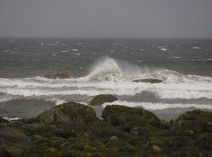 Agitated seas 