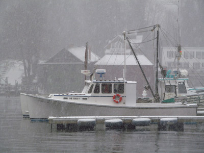 Camden Harbor