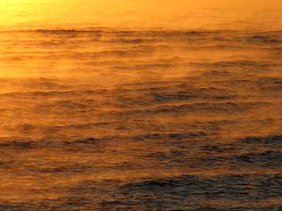 Sea smoke atop the bay