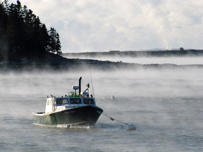 20120113_15 Sea Hag