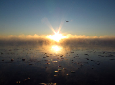 Sun rises above sea smoke