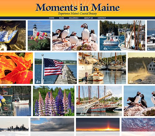 Moments in Maine Gallery