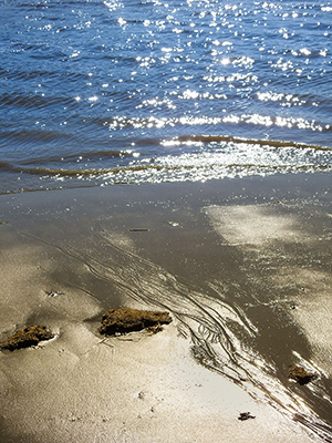 River mud