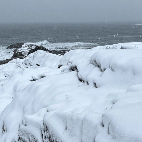 Winter solitude