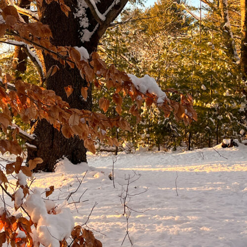 Wintertime