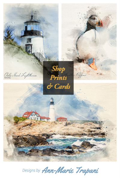 Shop Prints and Cards featuring Designs by Ann-Marie Trapani