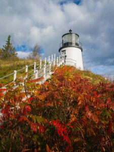 Red sumac beneath the Owls Head Lighthouse on a autumn morning.